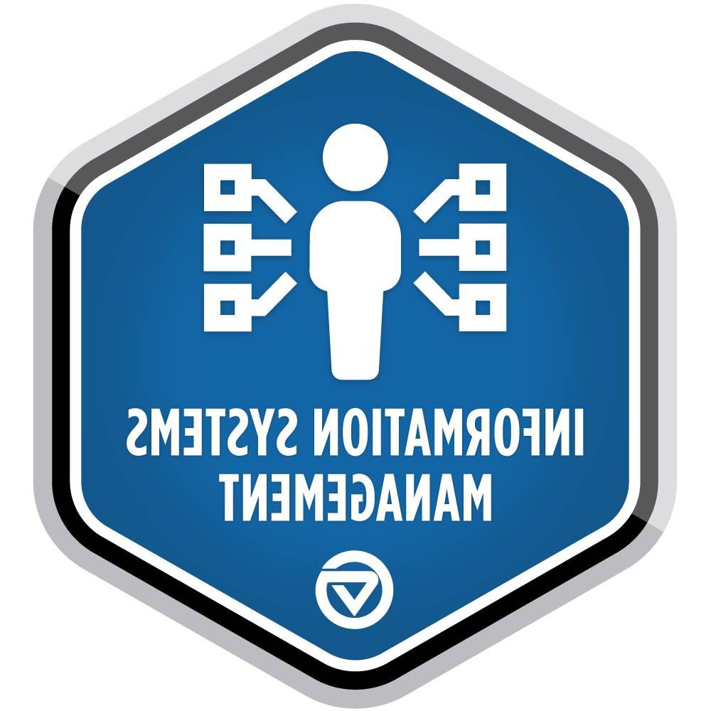 资讯系统管理徽章.